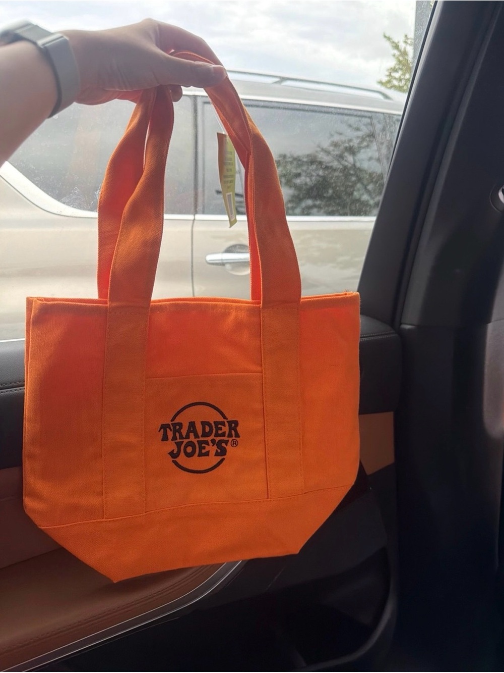 2026 Trader Joe's Halloween Mini Canvas Totes - orange